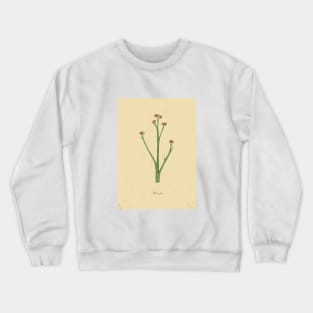 Botanical watercolor painting Crewneck Sweatshirt